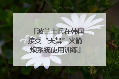 波兰士兵在韩国接受“天舞”火箭炮系统使用训练